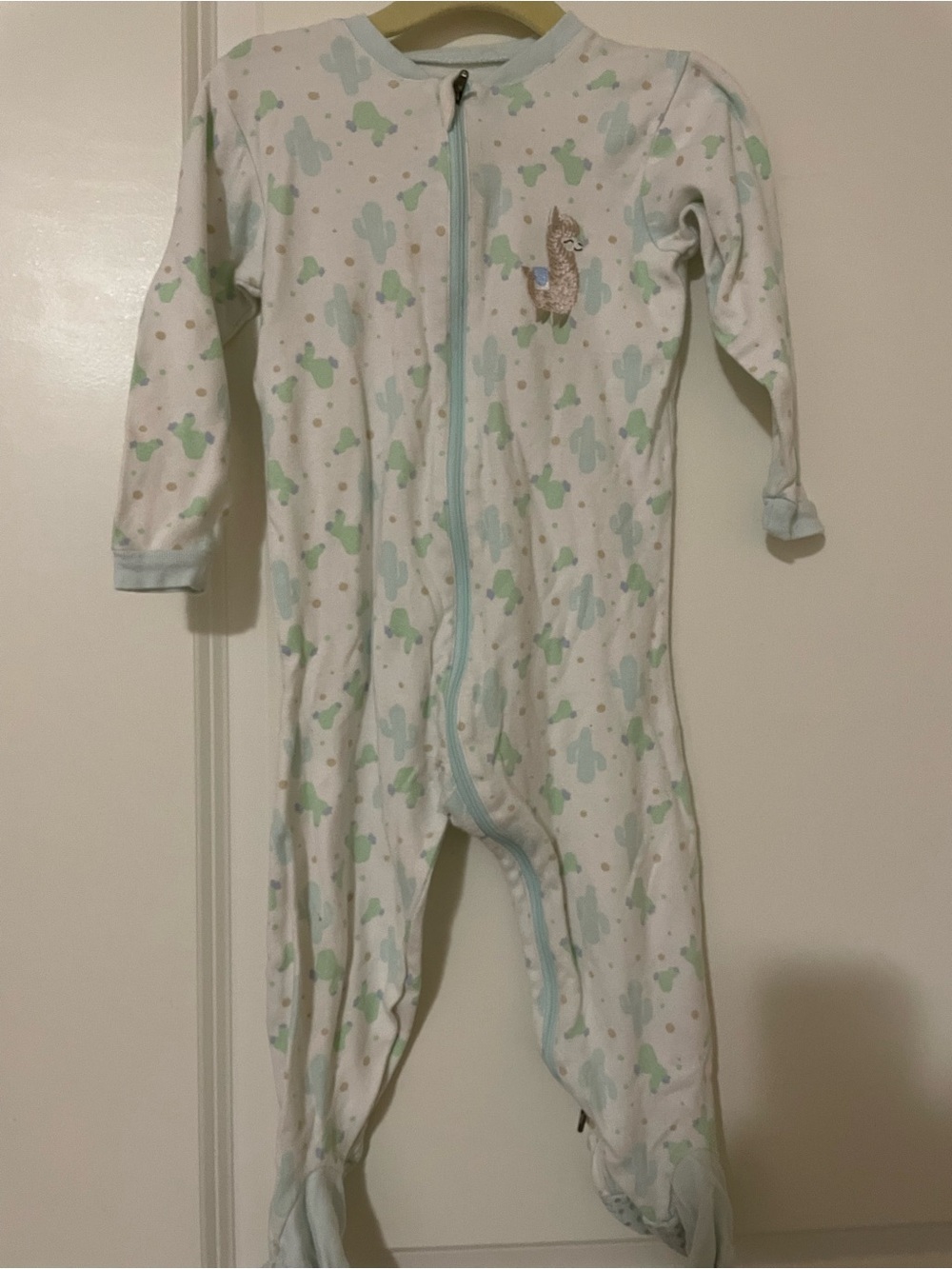 Classic Light Blue & Green Cactus Print Footed One-Piece Pajamas